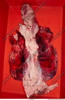 Photo Textures of RAW Pork Meat